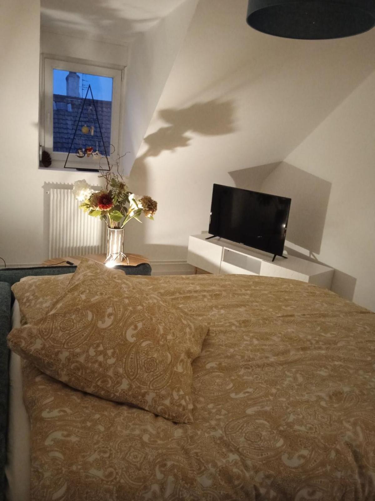 Apartment La Mulhousienne F3 Centre